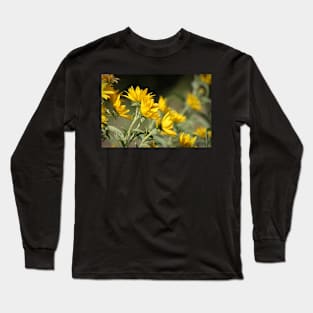 Windblown Sunflowers Long Sleeve T-Shirt